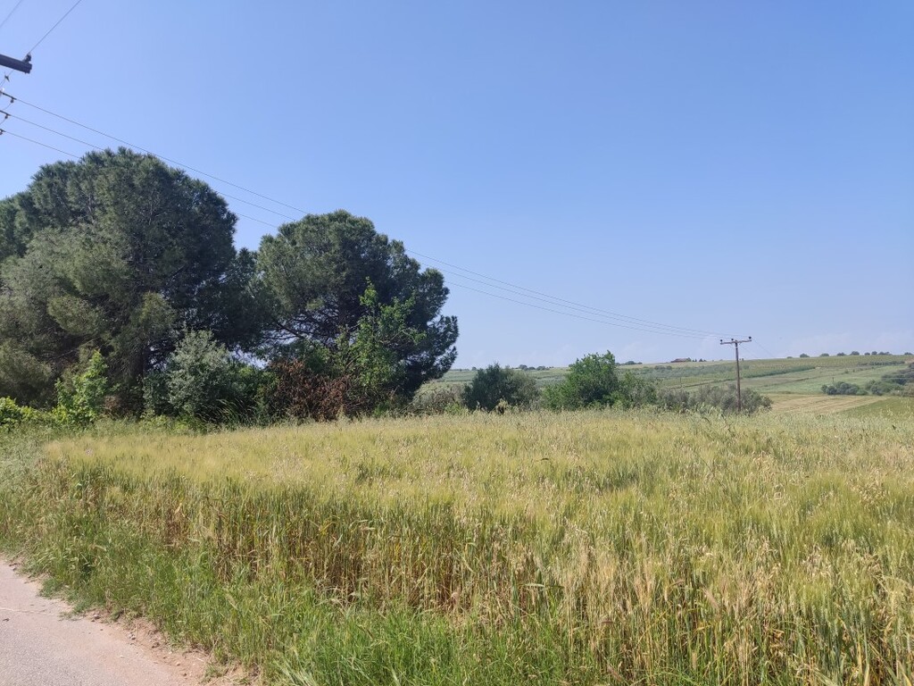 Земля в Салониках, Греция, 4 800 м² - фото 8