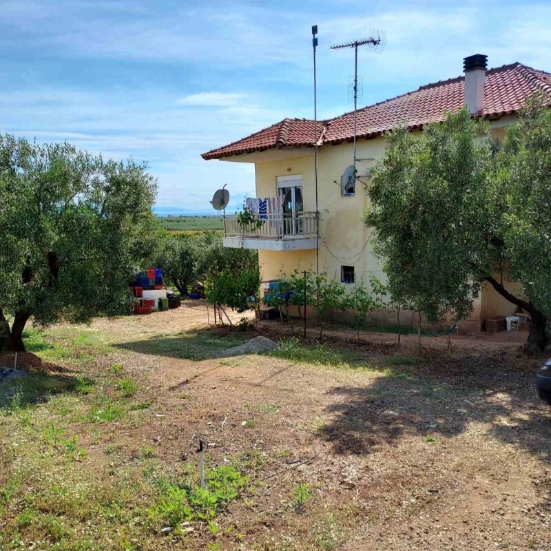 Дом на Халкидиках, Греция, 150 м² - фото 8