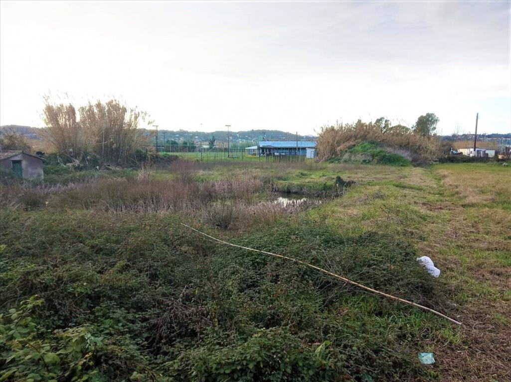 Земля на Корфу, Греция, 4 400 м² - фото 8