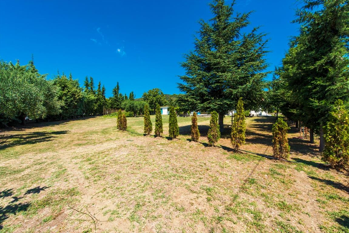 Земля на Кассандре, Греция, 2 500 м² - фото 8