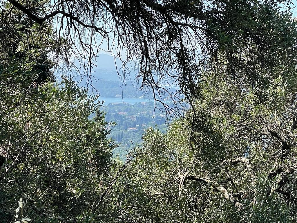 Земля на Корфу, Греция, 90 000 м² - фото 8