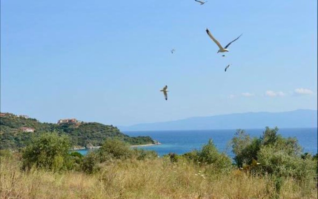 Квартира на Халкидиках, Греция, 27 м² - фото 8