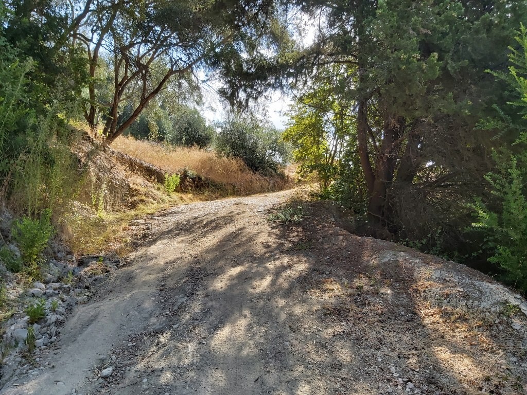 Земля на Корфу, Греция, 8 600 м² - фото 8