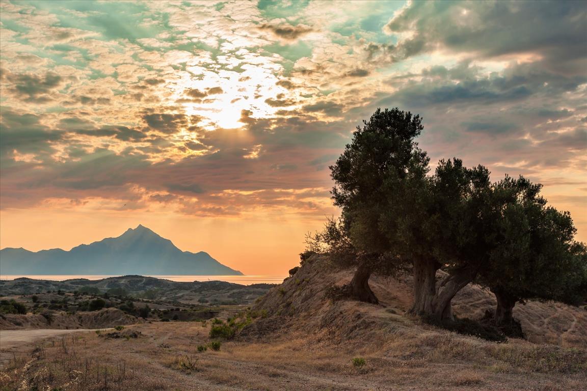 Дом в Ситонии, Греция, 69 м² - фото 8