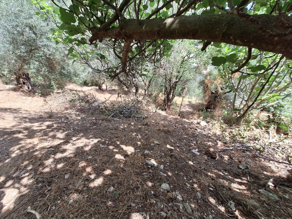 Земля на Корфу, Греция, 2 100 м² - фото 8