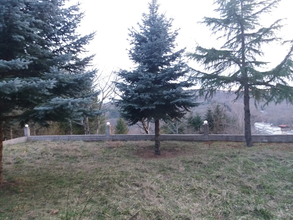 Дом на Халкидиках, Греция, 140 м² - фото 8