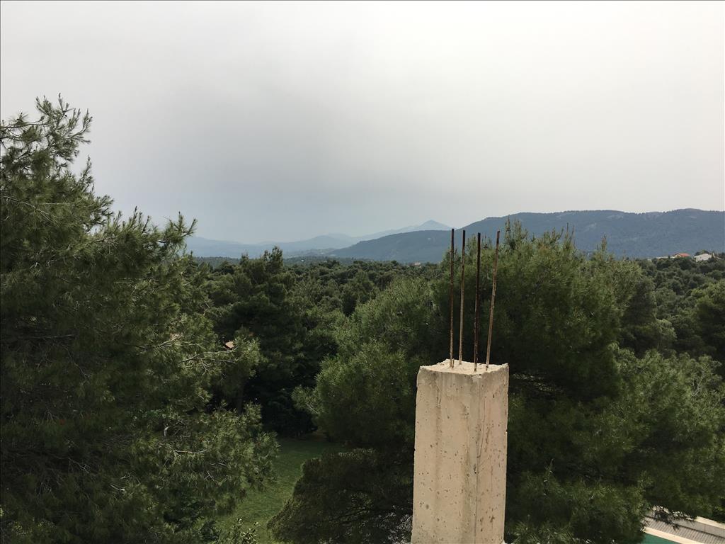 Мезонет в Аттике, Греция, 250 м² - фото 8