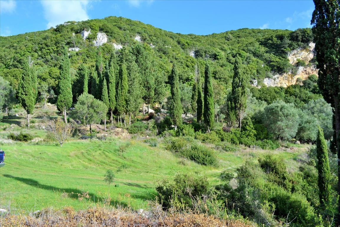 Земля на Корфу, Греция, 15 000 м² - фото 8