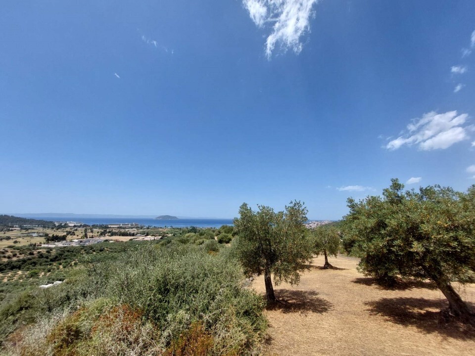 Земля в Ситонии, Греция, 3 500 м² - фото 8