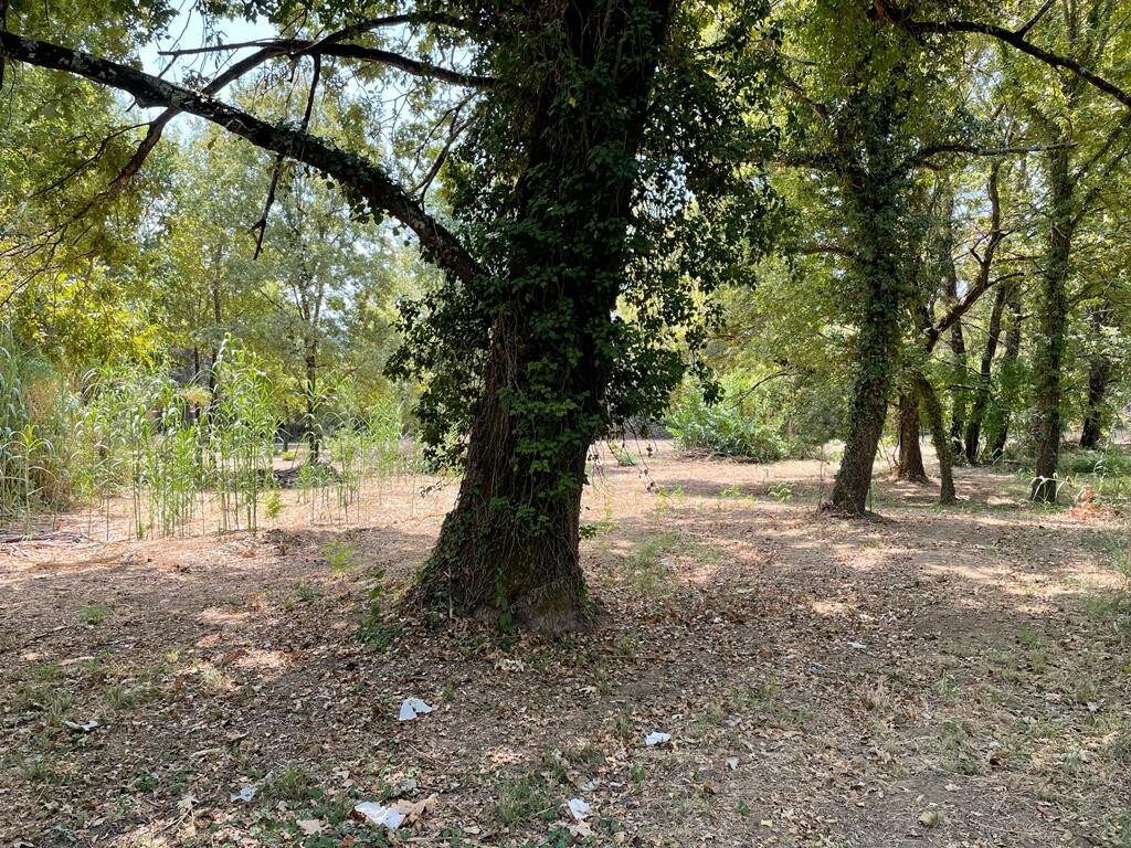 Земля на Корфу, Греция, 4 850 м² - фото 8