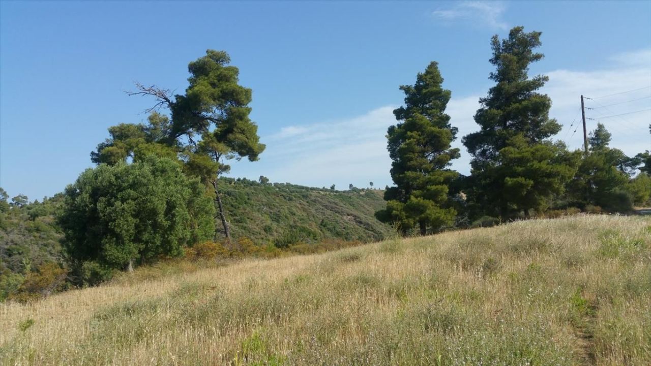 Земля на Кассандре, Греция, 4 062 м² - фото 8