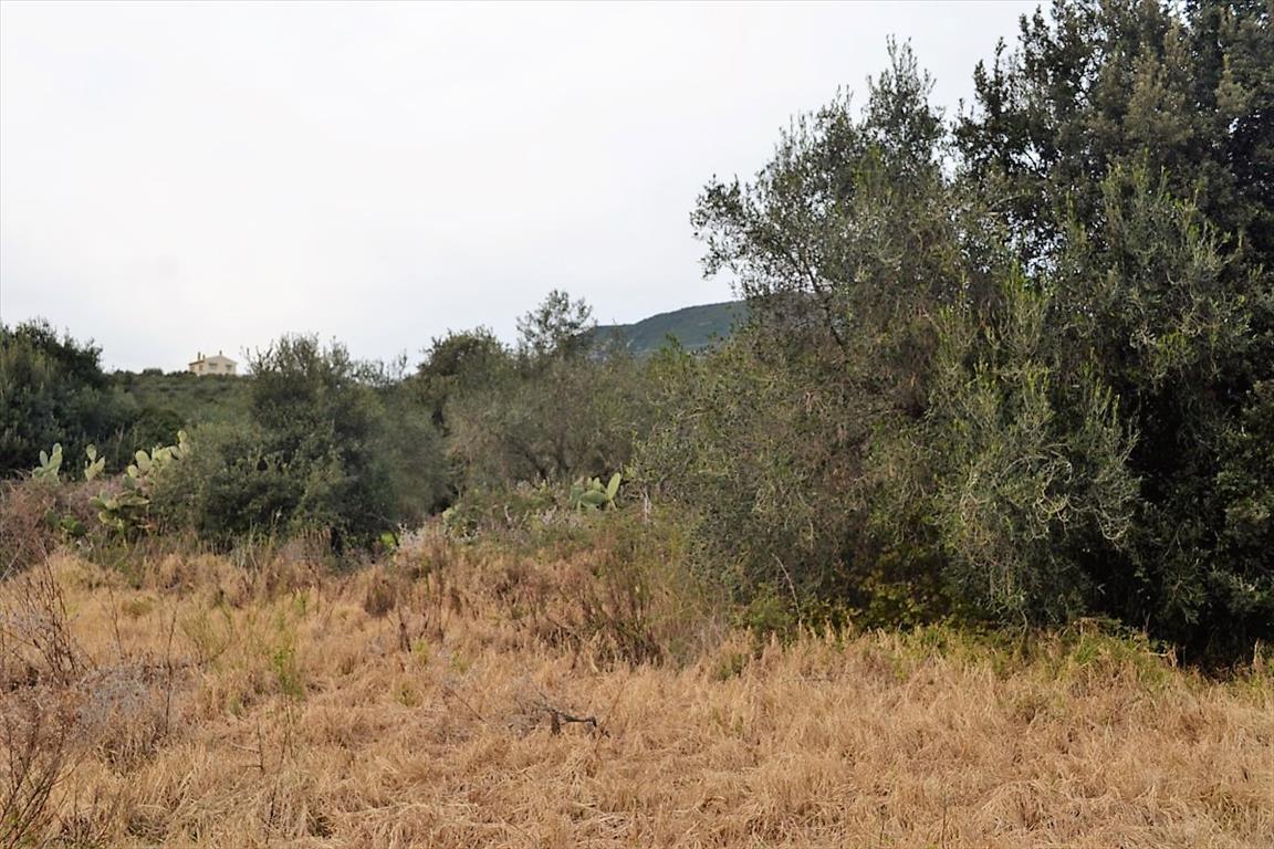 Земля на Корфу, Греция, 5 500 м² - фото 8