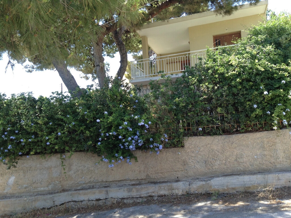 Дом в Аттике, Греция, 100 м² - фото 8