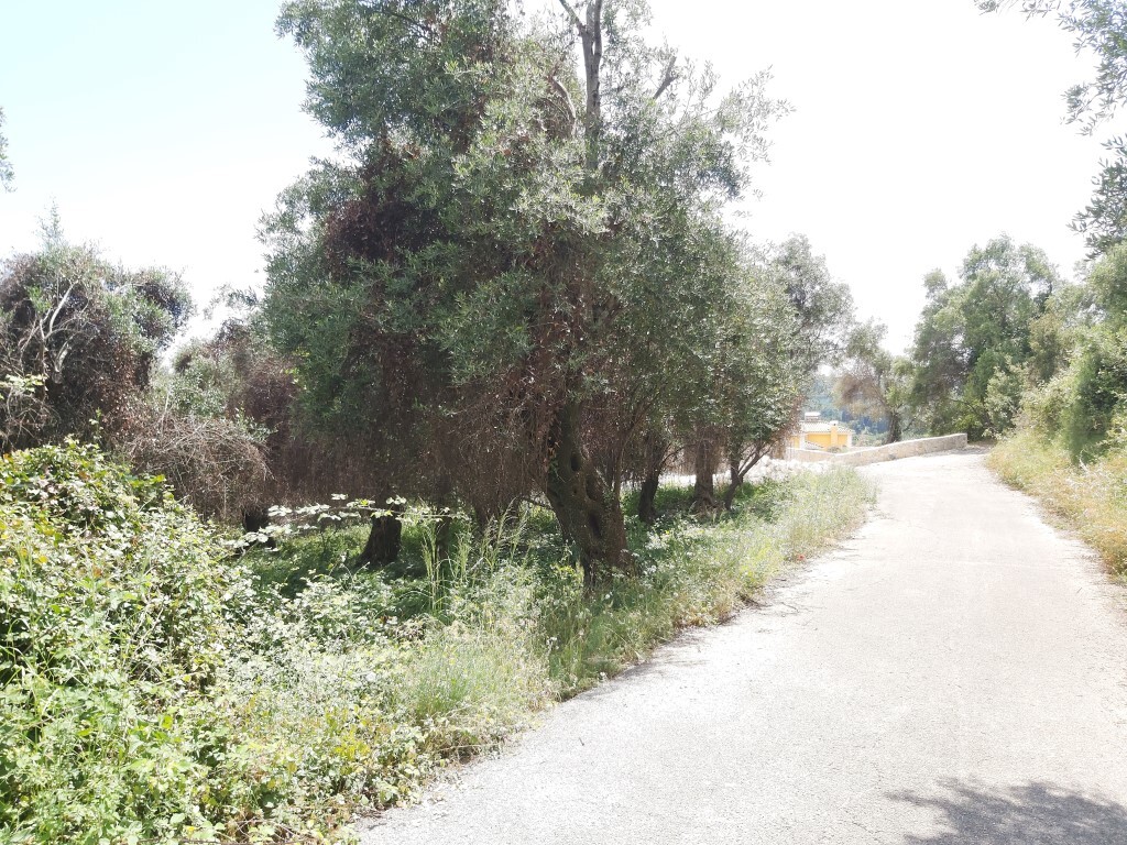 Земля на Корфу, Греция, 700 м² - фото 8