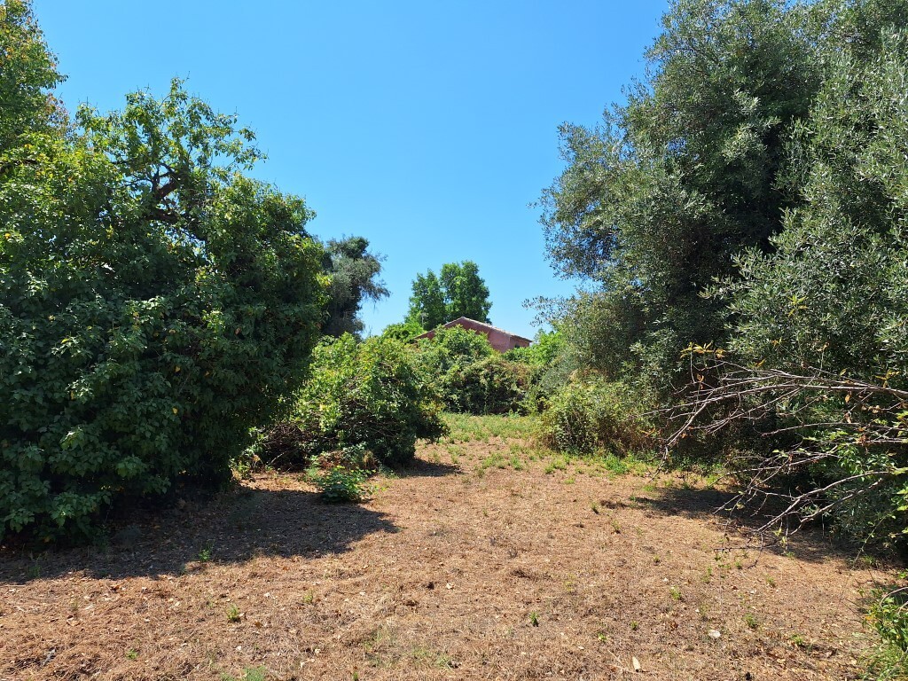 Земля на Корфу, Греция, 4 600 м² - фото 8