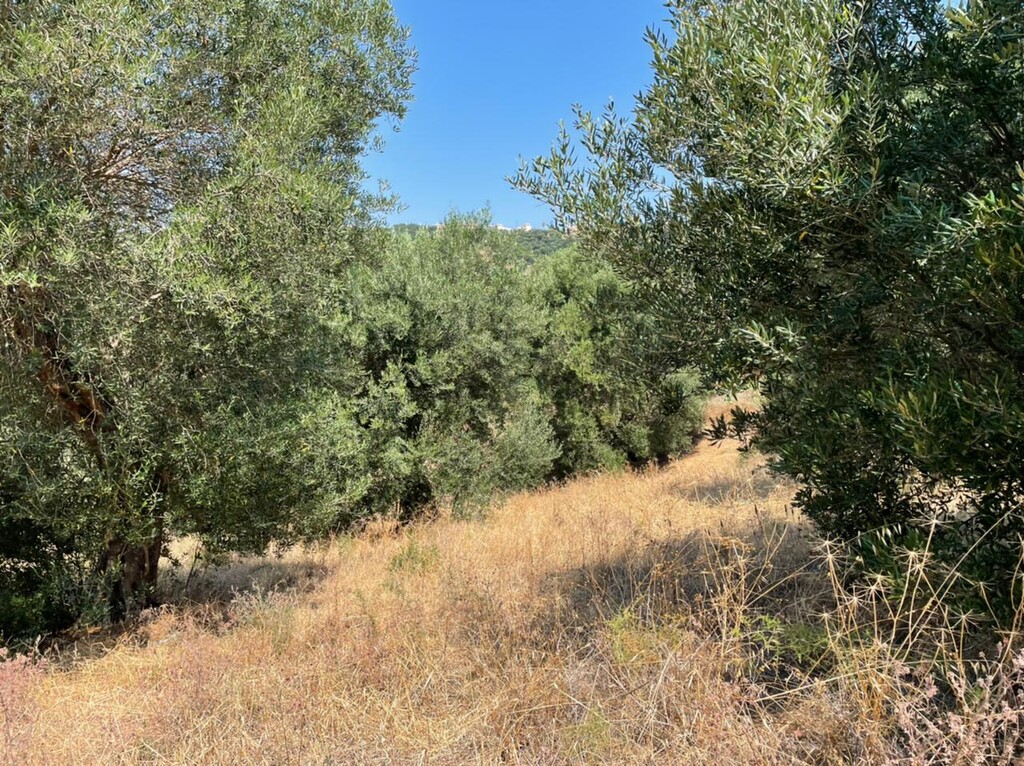 Земля на Корфу, Греция, 5 200 м² - фото 8