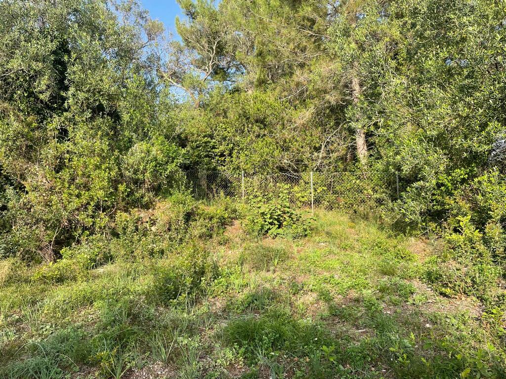 Земля на Корфу, Греция, 3 321 м² - фото 8