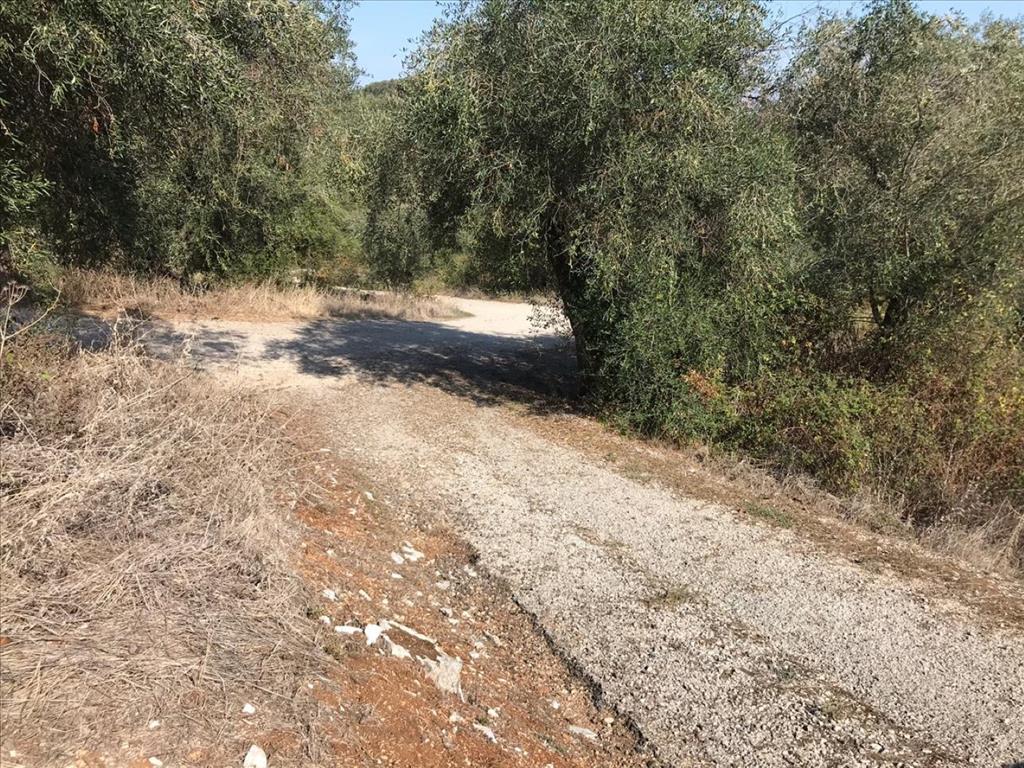 Земля на Корфу, Греция, 4 000 м² - фото 8