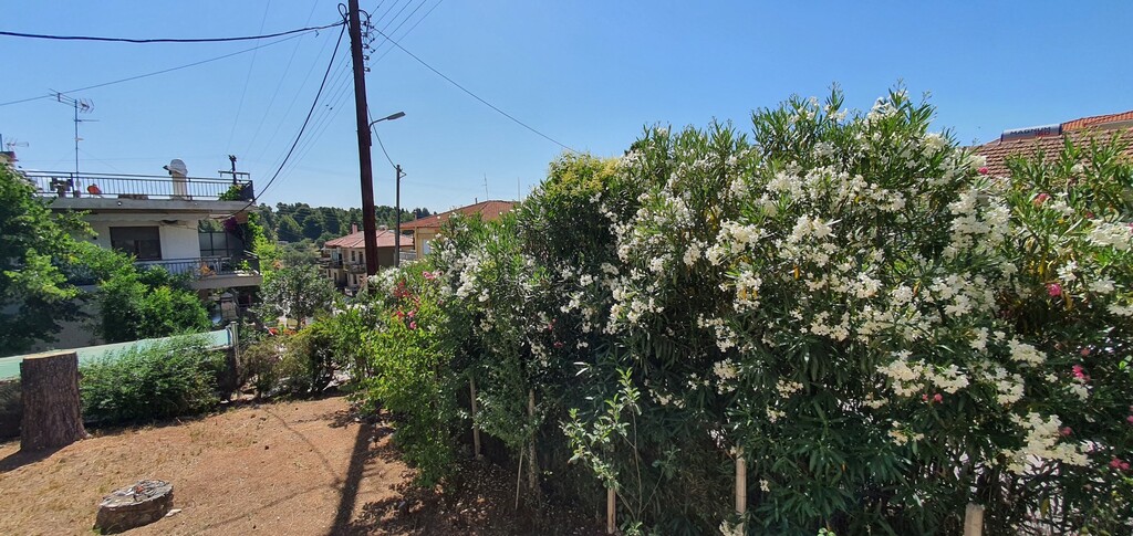 Дом в Ситонии, Греция, 170 м² - фото 8