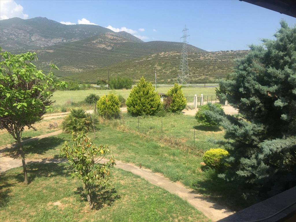 Дом на Халкидиках, Греция, 180 м² - фото 8