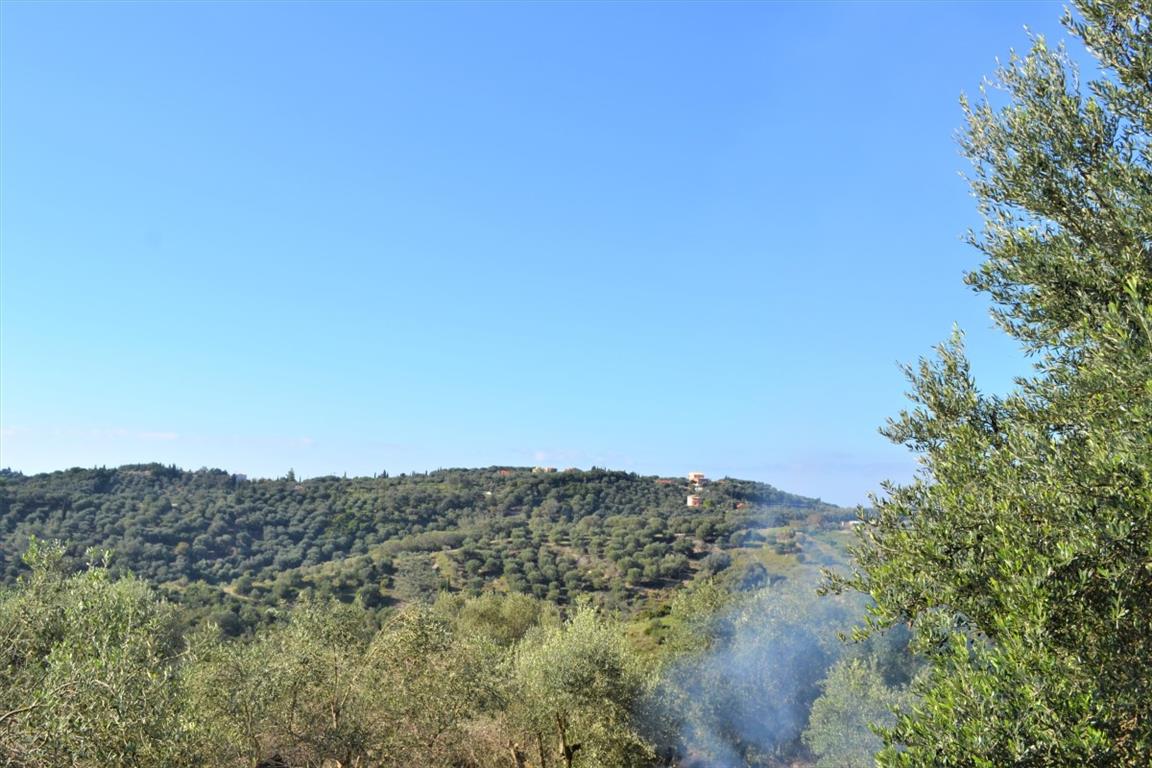 Земля на Корфу, Греция, 8 841 м² - фото 8