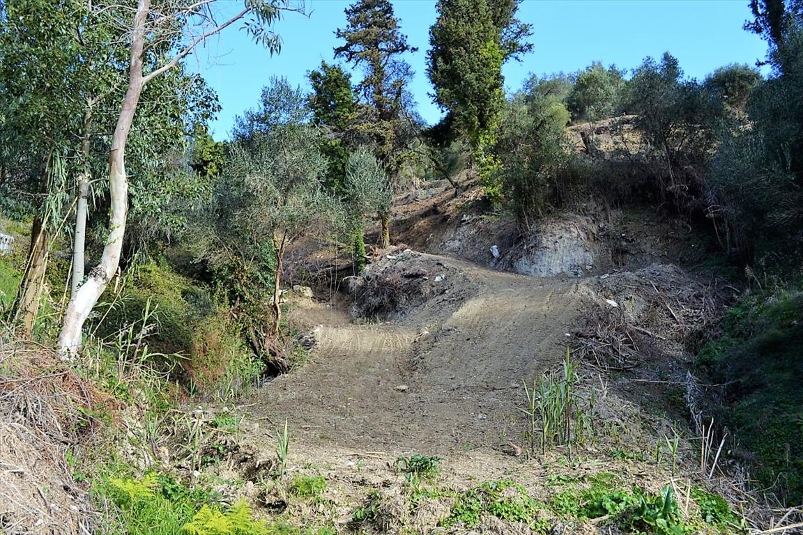 Земля на Корфу, Греция, 5 200 м² - фото 8