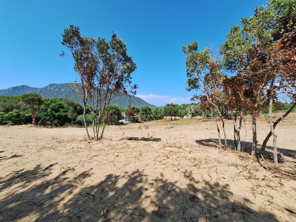 Земля на Корфу, Греция, 17 439 м² - фото 8