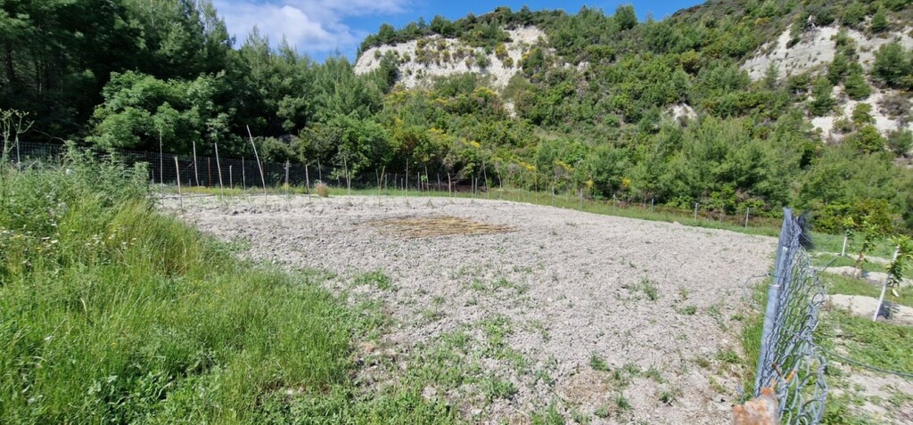 Земля на Кассандре, Греция, 10 000 м² - фото 8