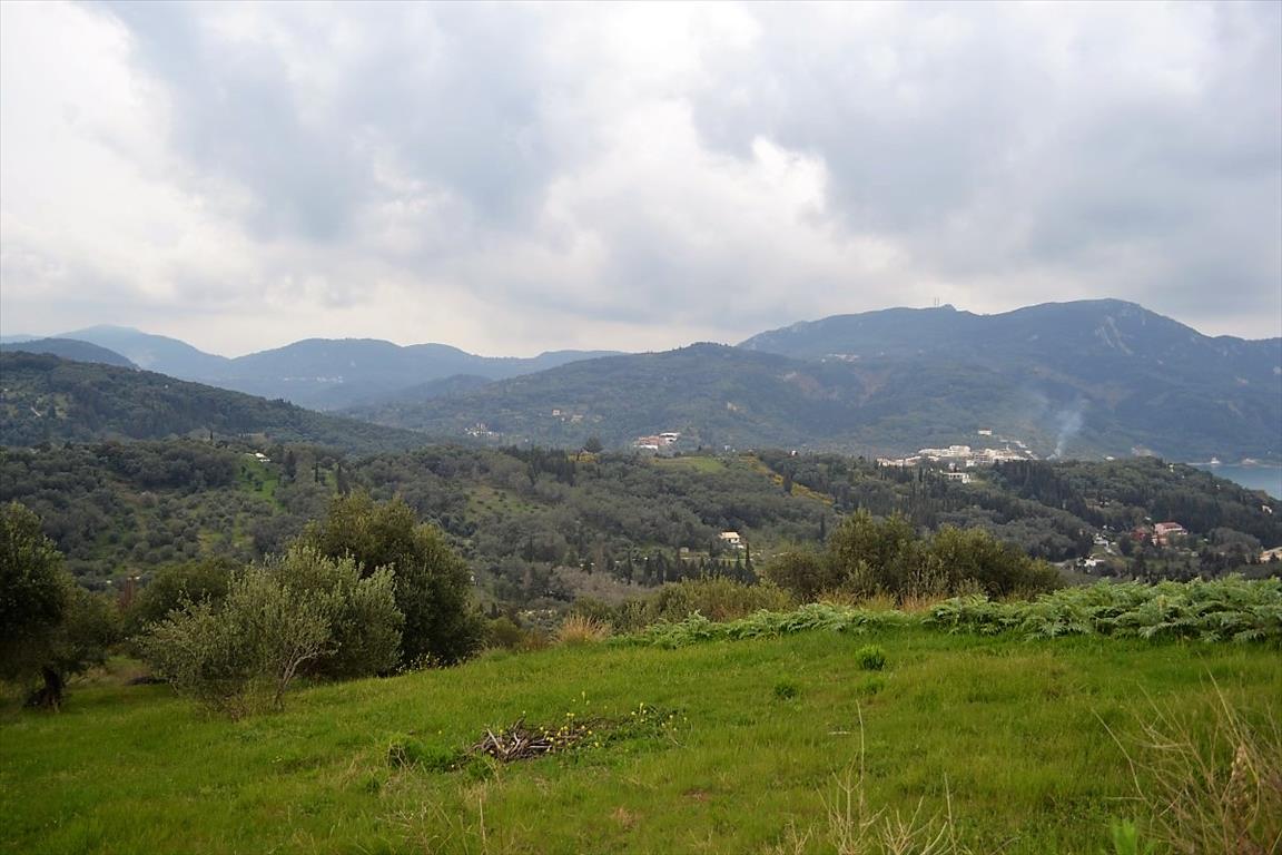 Земля на Корфу, Греция, 6 000 м² - фото 8