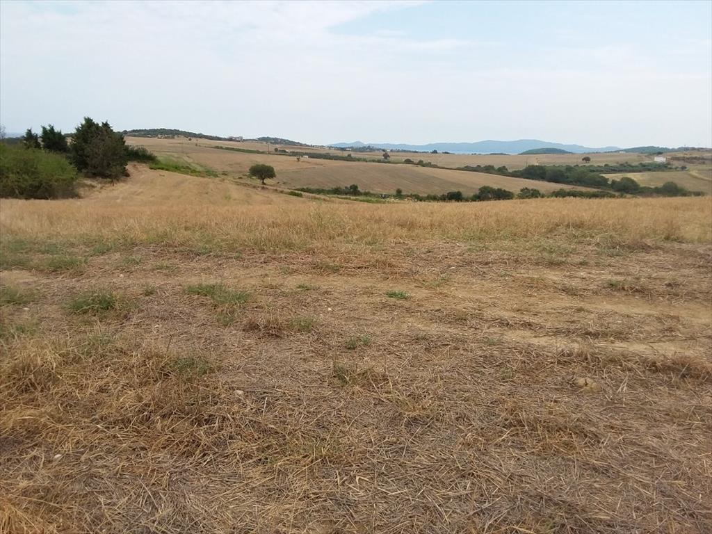 Земля на Халкидиках, Греция, 13 000 м² - фото 8