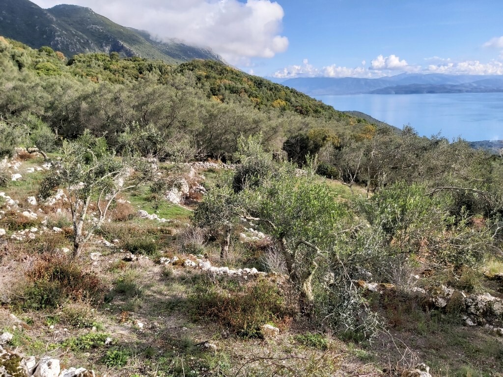 Земля на Корфу, Греция, 9 500 м² - фото 8