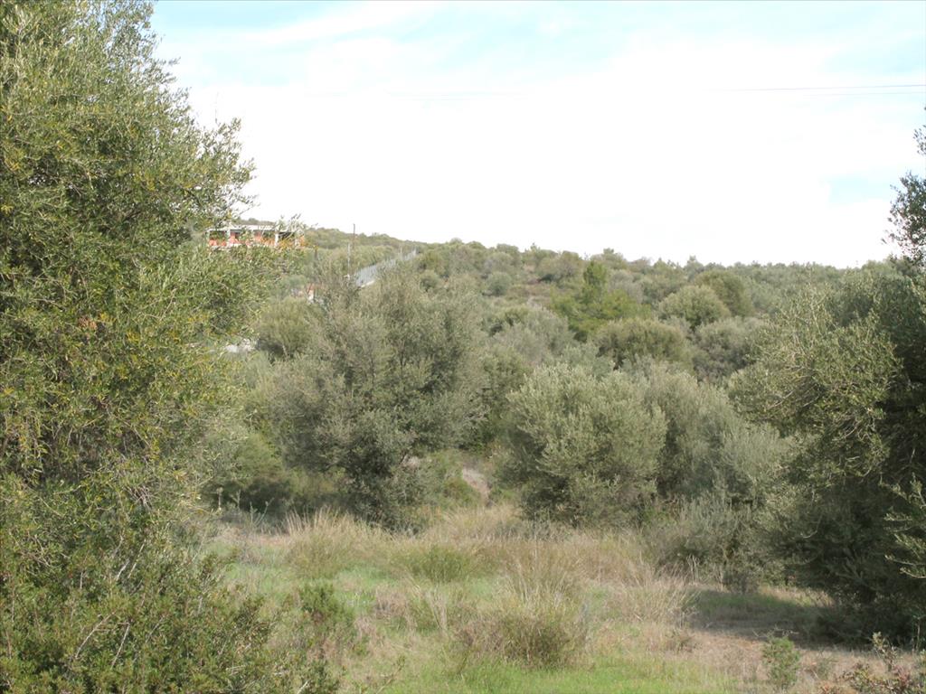 Земля в Ситонии, Греция, 13 244 м² - фото 8