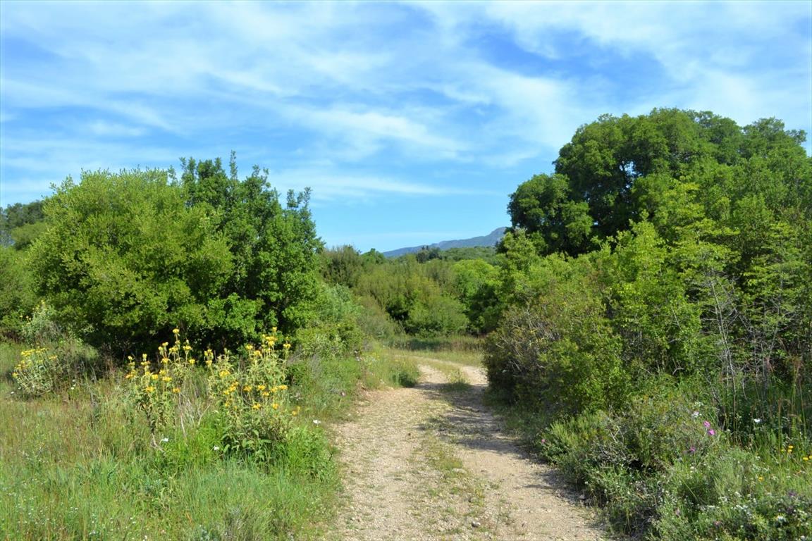 Земля на Корфу, Греция, 72 000 м² - фото 8