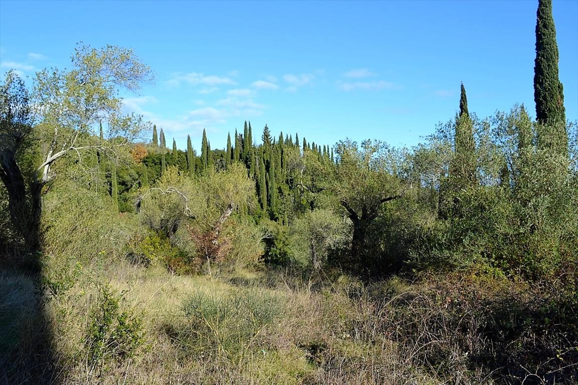 Земля на Корфу, Греция, 8 000 м² - фото 8