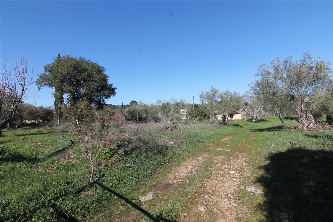 Земля на Корфу, Греция, 4 131 м² - фото 9