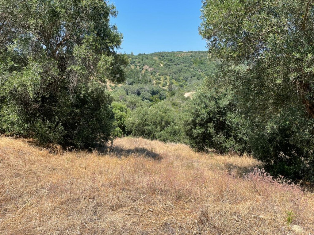 Земля на Корфу, Греция, 5 200 м² - фото 9