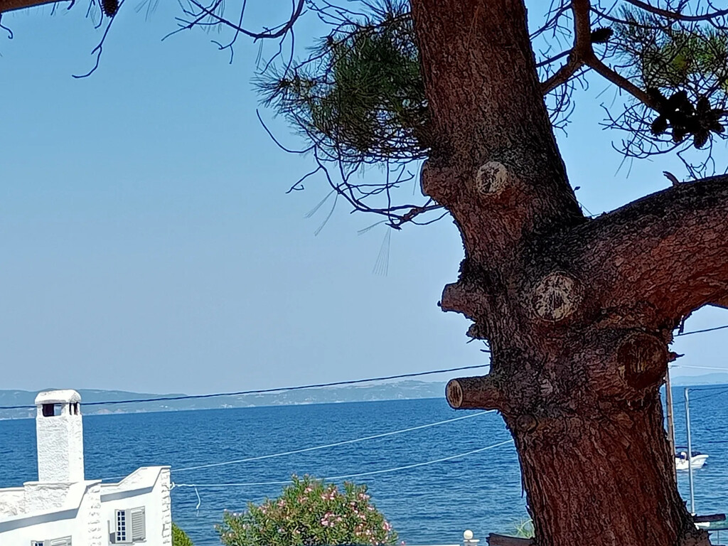 Дом в Ситонии, Греция, 90 м² - фото 9