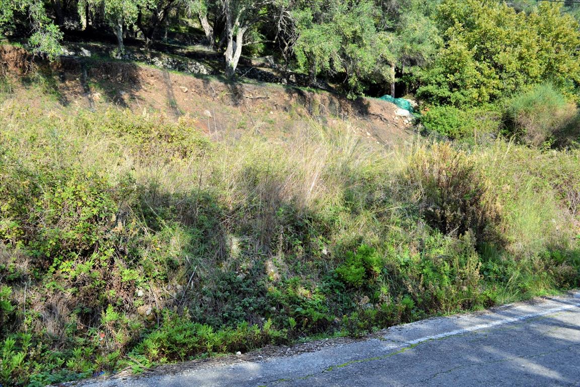 Земля на Корфу, Греция, 14 530 м² - фото 9