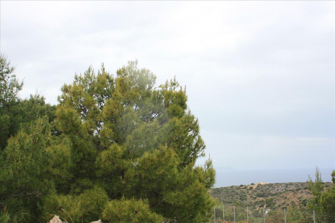 Земля в Ираклионе, Греция, 5 900 м² - фото 9