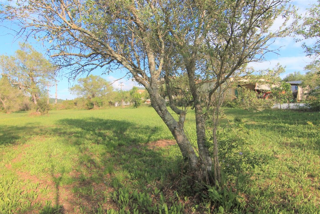 Земля на Корфу, Греция, 4 188 м² - фото 9