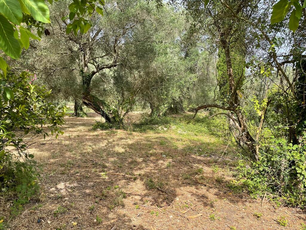 Земля на Корфу, Греция, 5 020 м² - фото 9