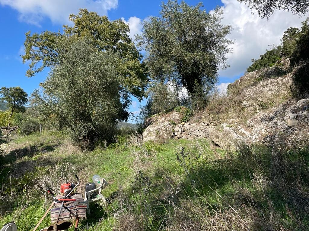 Земля на Корфу, Греция, 5 500 м² - фото 9