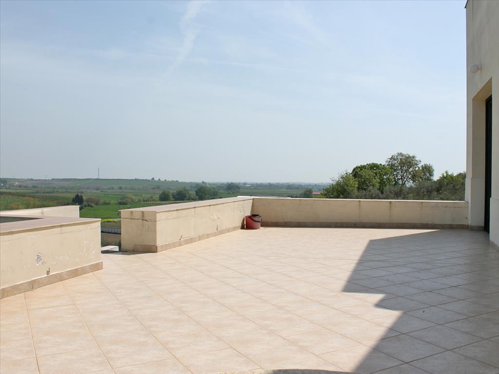 Дом в Олимпиаки-Акти, Греция, 291 м² - фото 9