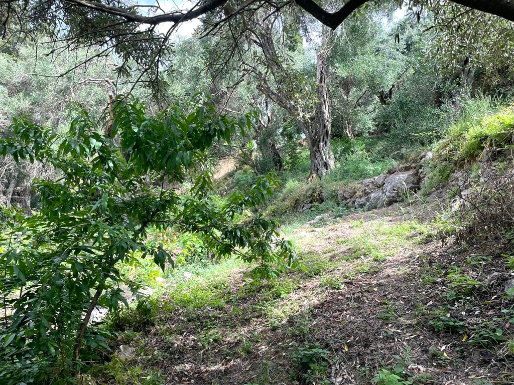 Мезонет на Корфу, Греция, 135 м² - фото 9