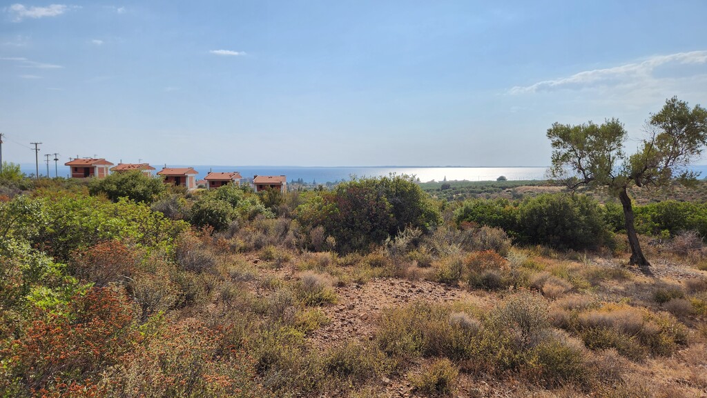 Земля в Ситонии, Греция, 37 500 м² - фото 9