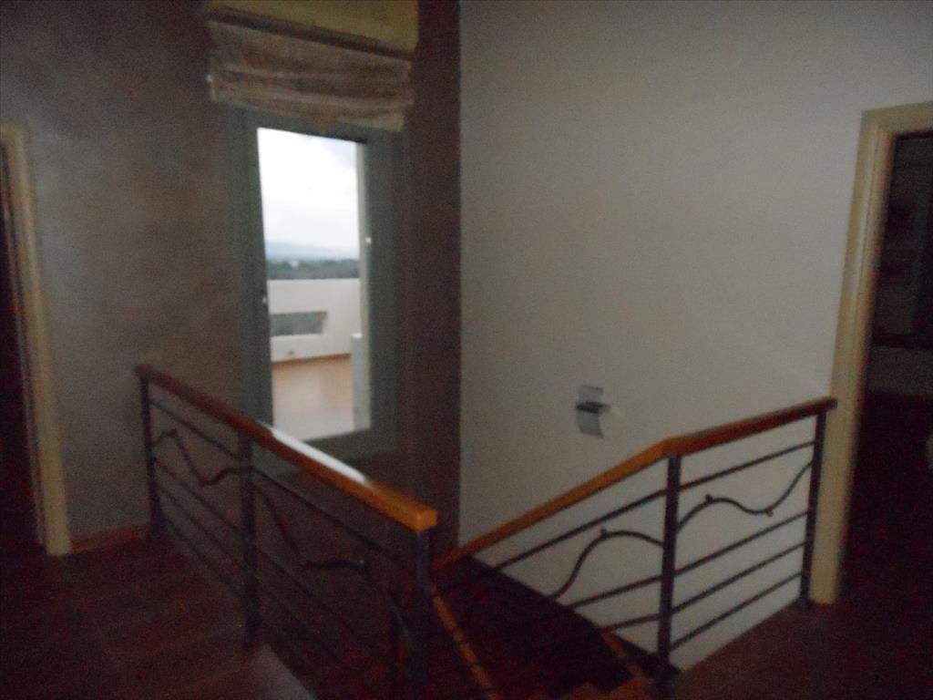 Дом в Аттике, Греция, 230 м² - фото 9