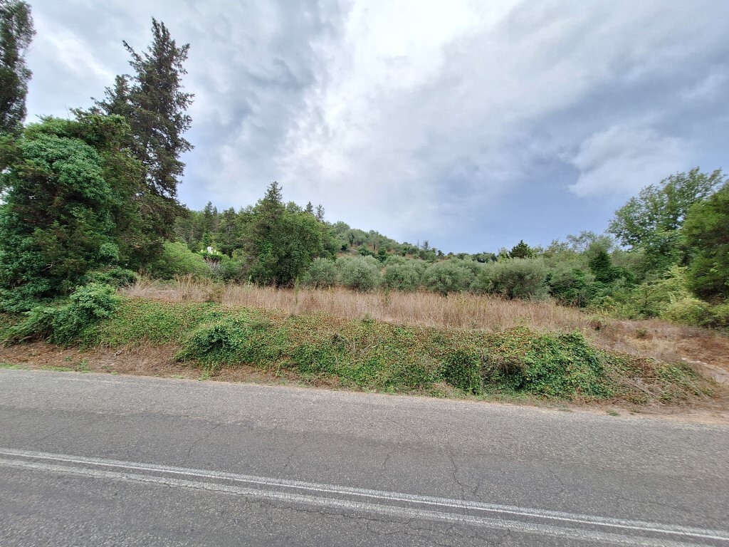 Земля на Корфу, Греция, 13 000 м² - фото 9