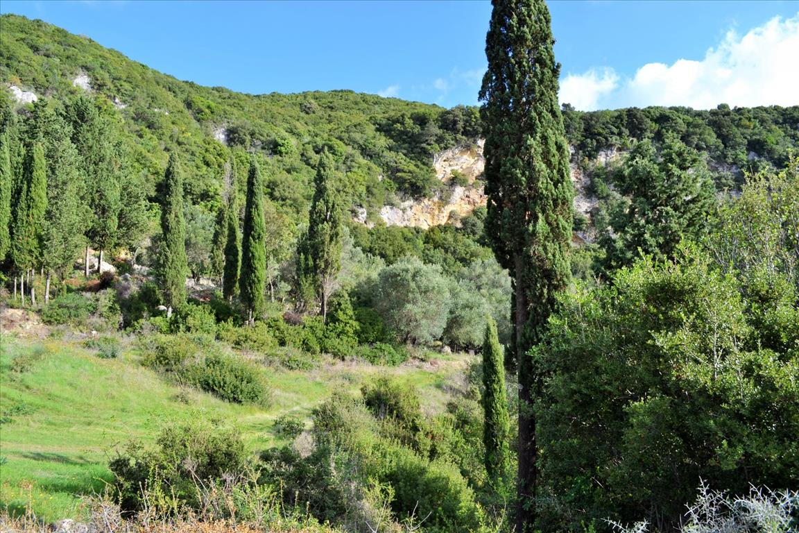 Земля на Корфу, Греция, 15 000 м² - фото 9