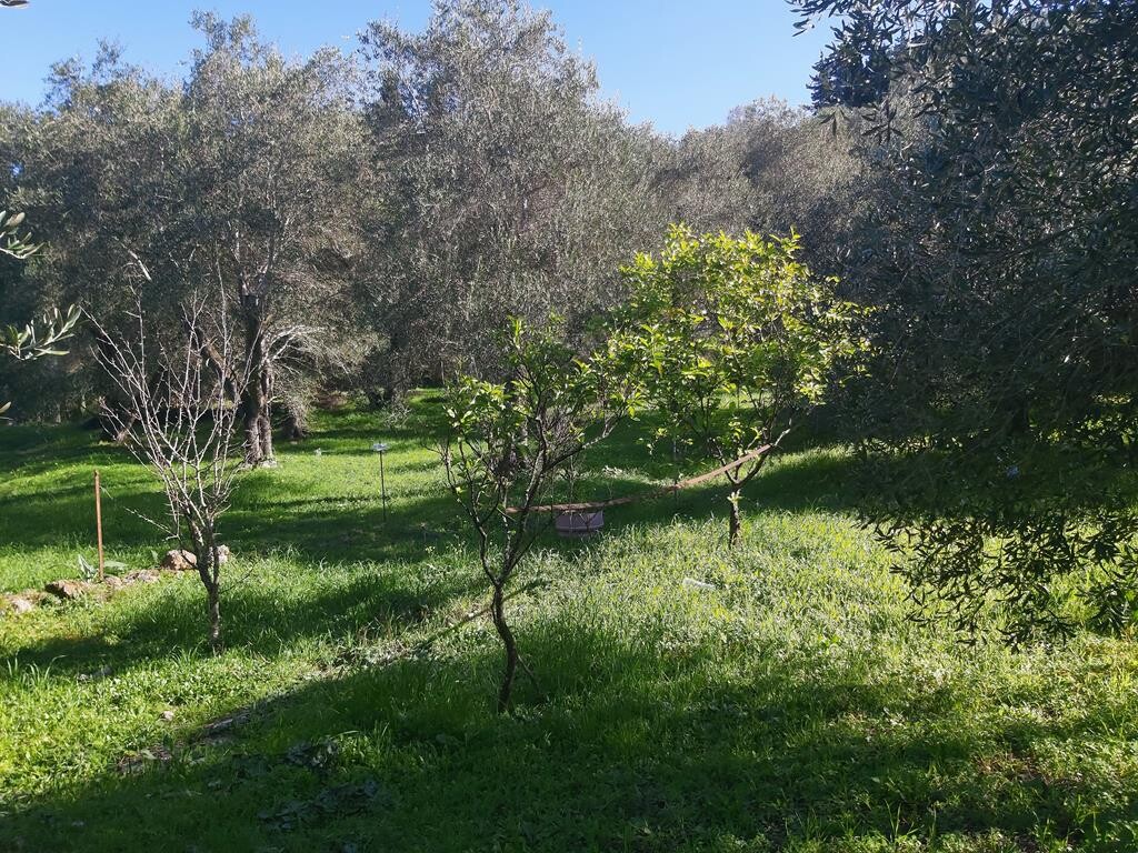 Земля на Корфу, Греция, 7 000 м² - фото 9