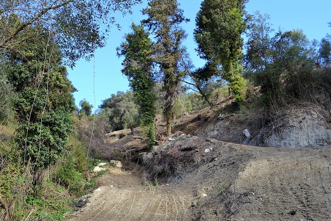 Земля на Корфу, Греция, 5 200 м² - фото 9